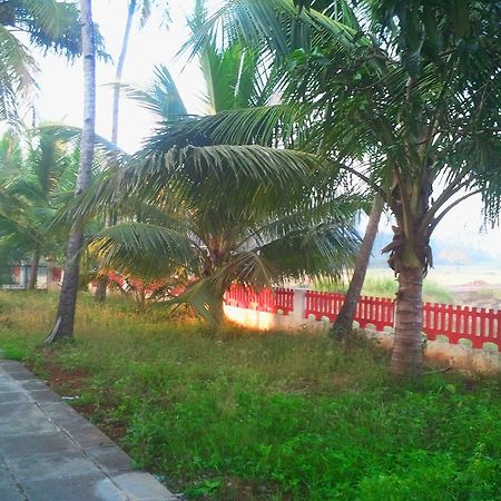 Quarto De Casa Tipri Saligao 外观 照片